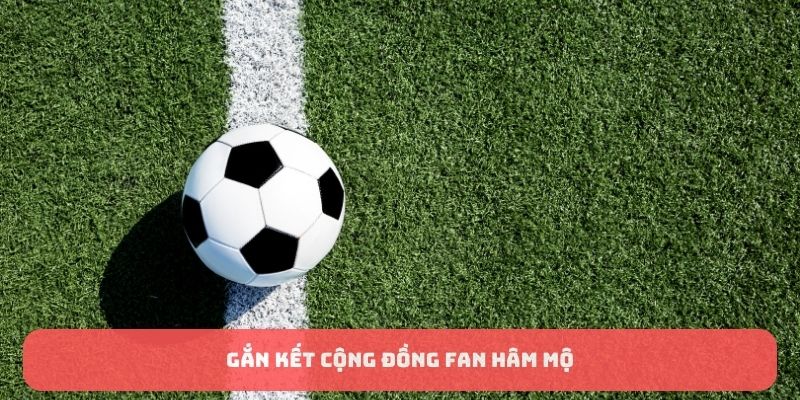 Về chúng tôi: CakhiaTV - Mang trải nghiệm mới nhất cho fan bóng 4 Các quy định, chính sách về chúng tôi